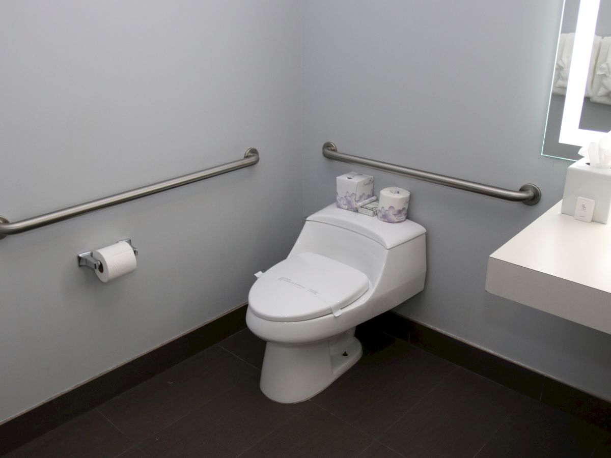 A clean, accessible bathroom with a toilet, handrails, toilet paper, tissue boxes, and a sink with tissues and a mirror.