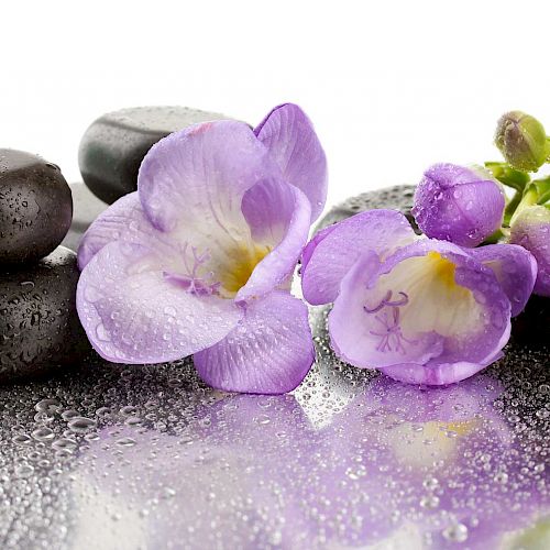 The image features wet black massage stones and purple flowers, possibly in a spa setting, with water droplets on the surface.